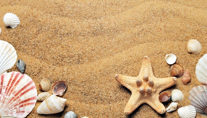 Bricolage con i regali del mare: ci vediamo il 14 Settembre!