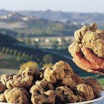 Tartufo - Sant'Agata Feltria