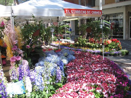 Cattolica in fiore