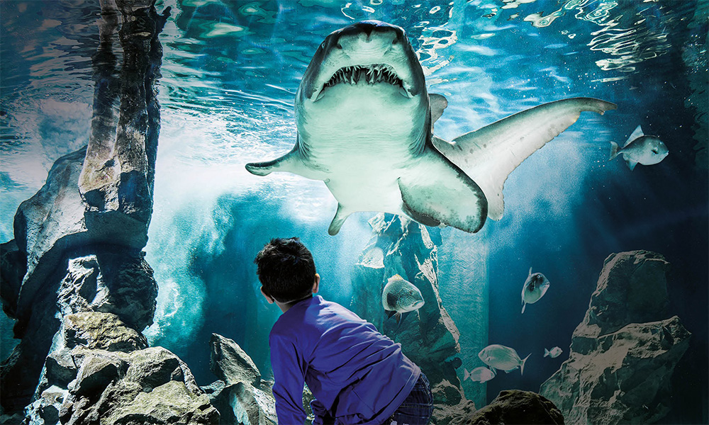 I Parchi della Riviera – Parchi Divertimento – Parchi Tematici