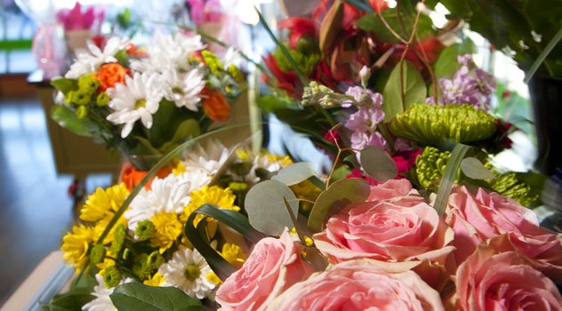 Piante e Fiori a Gabicce – Fioristi e Vivai