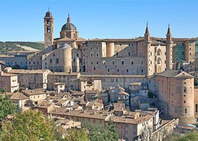 Urbino